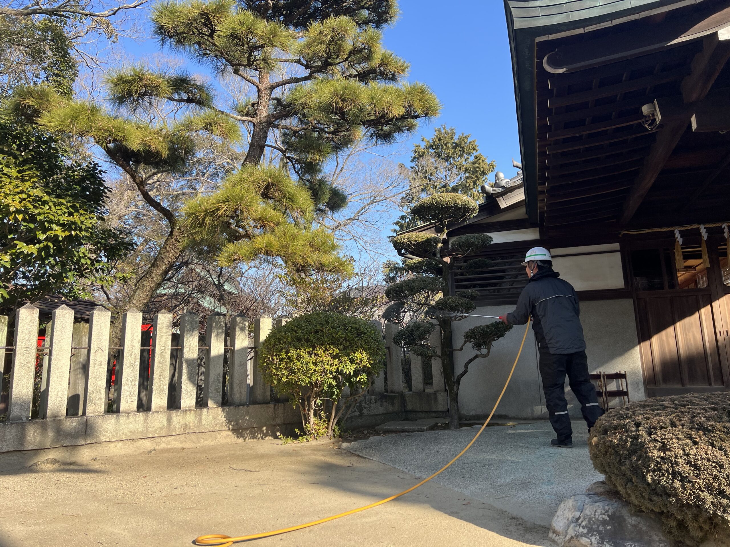 高砂市内神社の境内樹木消毒作業