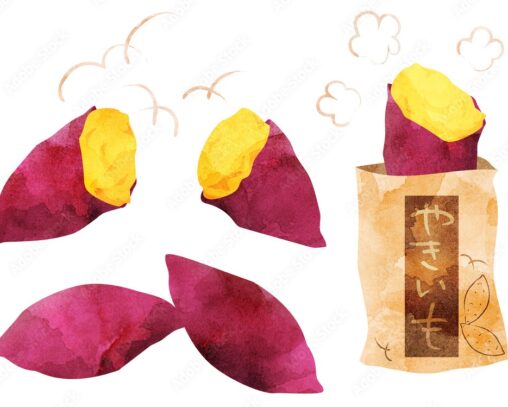 焼き芋１本プレゼント♪