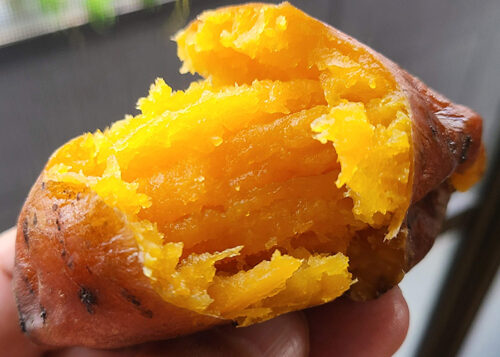 「安納芋」完売しました